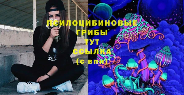 дурь Касимов