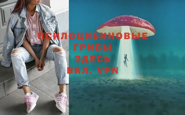 дурь Касимов