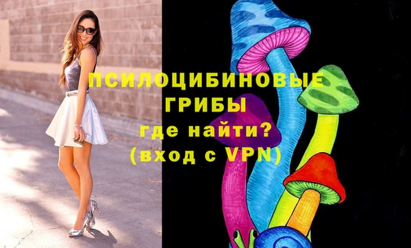дурь Касимов