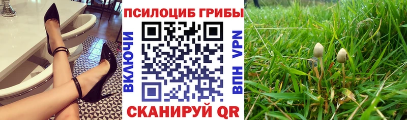 Купить  Новосокольники  Псилоцибиновые грибы мухоморы 